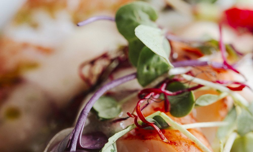 Hacienda bodas Sevilla, Espacio Gastro Catering Propio | Hacienda El Vizir